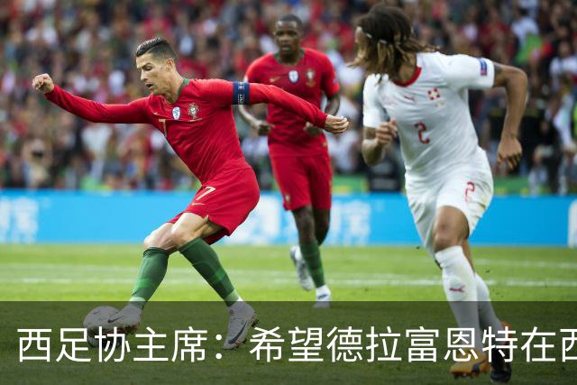 西足协主席：希望德拉富恩特在西班牙长期执教，当我们的弗格森