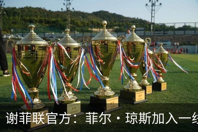 谢菲联官方：菲尔·琼斯加入一线队教练组，担任怀尔德助教